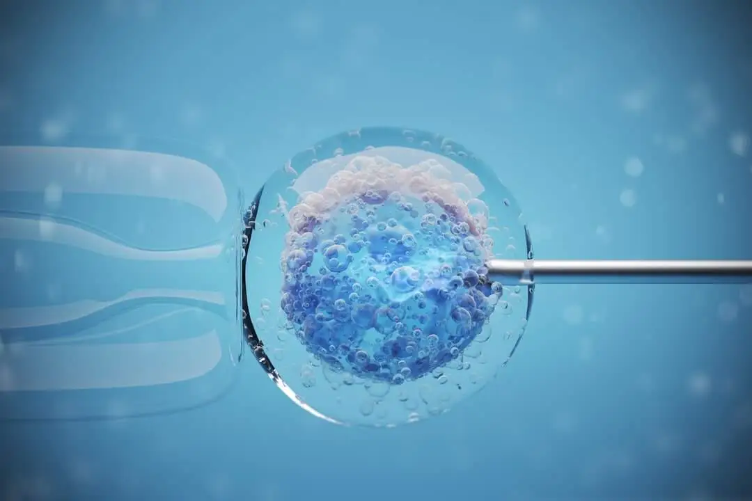 Leading IVF Specialty Center